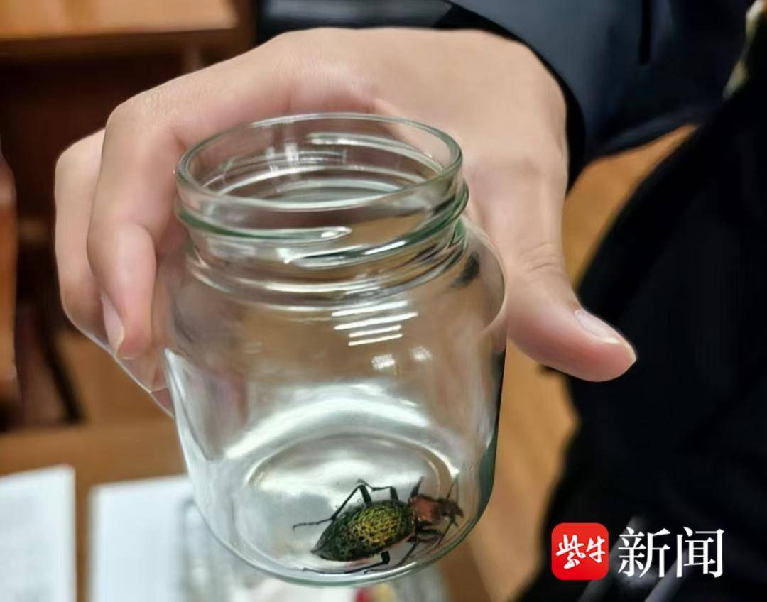 娱乐 第13页