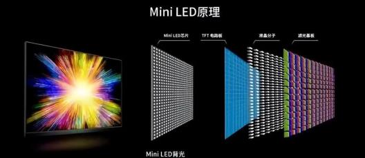 Mini LED哪个品牌值得入手  推荐2024年热销的几款机型