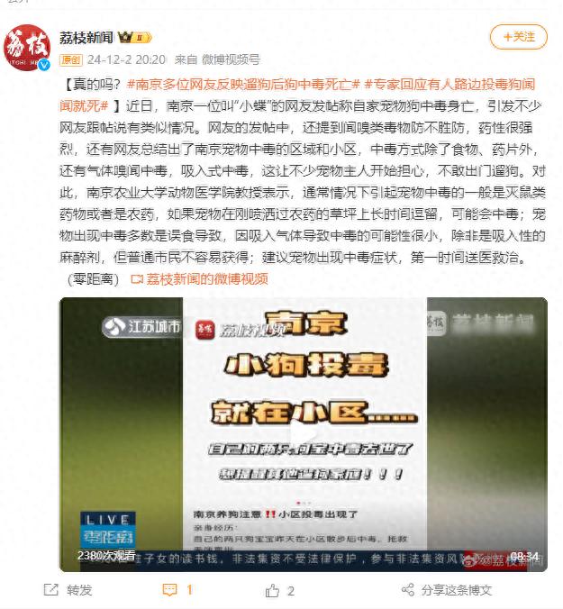 南京多位网友反映遛狗后狗中毒死亡？专家回应：多数是误食导致，吸入气体导致中毒的可能性很小