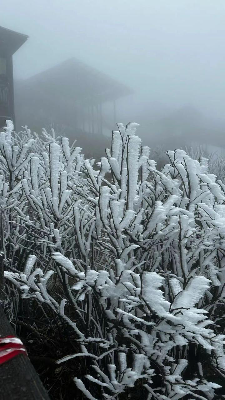 永州迎来今冬首场雾凇！